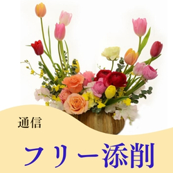 フリー添削