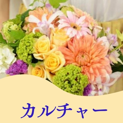 カルチャー