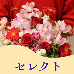 セレクト